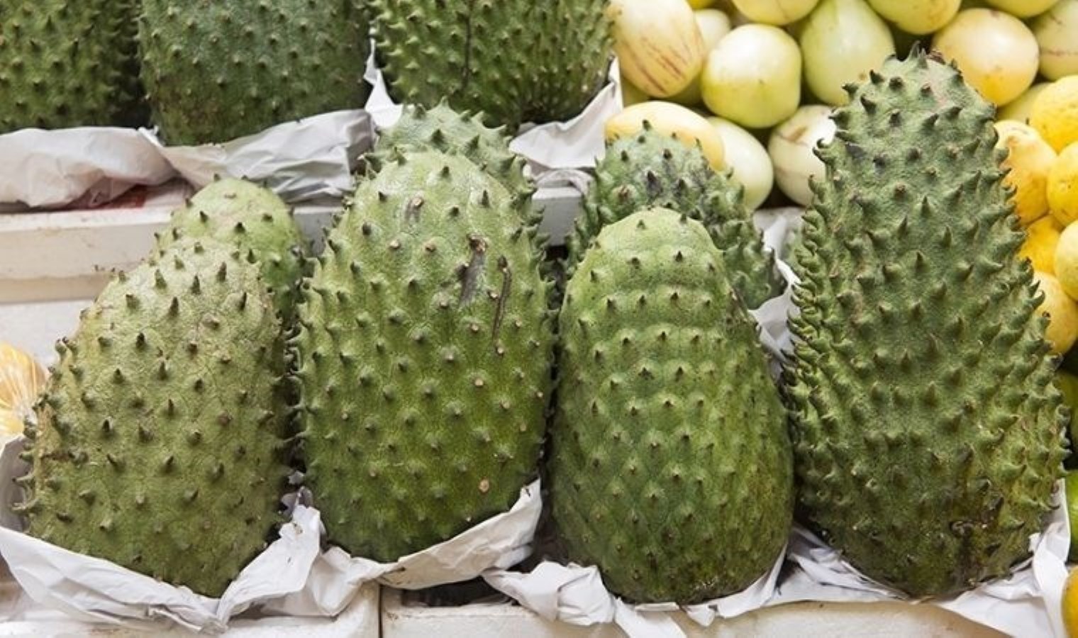 Kan şekerini düşürüyor, kalbi çelik gibi sağlam yapıyor: Vücuda birçok faydası olan mucizevi meyve ve bilinmeyen faydaları…