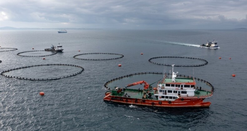 Karadeniz’in su ürünleri ihracat geliri artışta