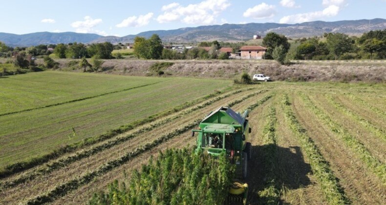 Kastamonu’da hasat başladı: 12 köyden 146 çiftçi tarafından üretildi…