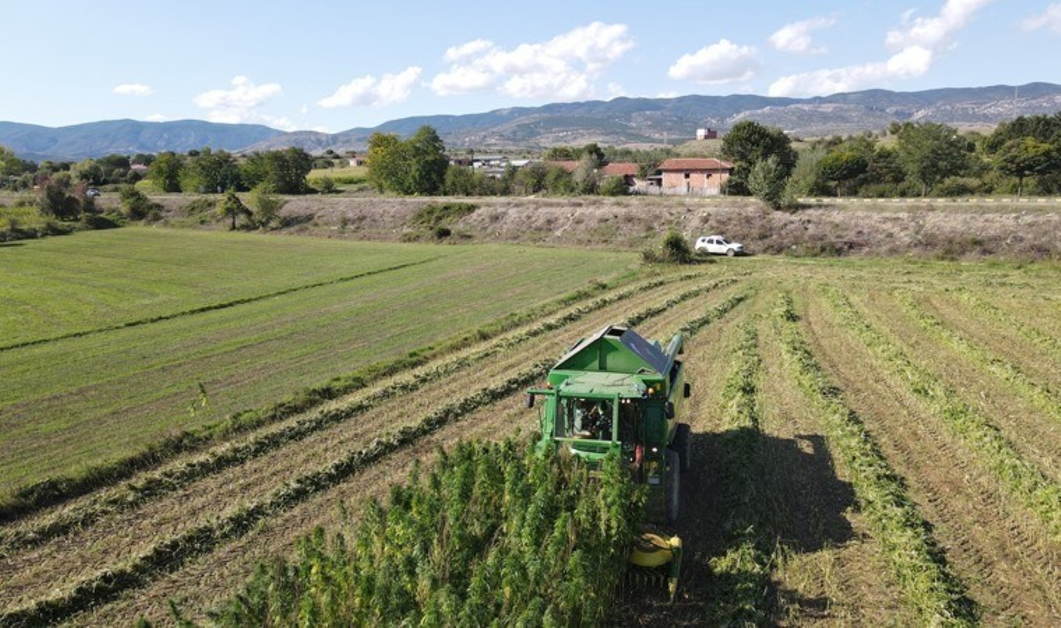Kastamonu’da hasat başladı: 12 köyden 146 çiftçi tarafından üretildi…