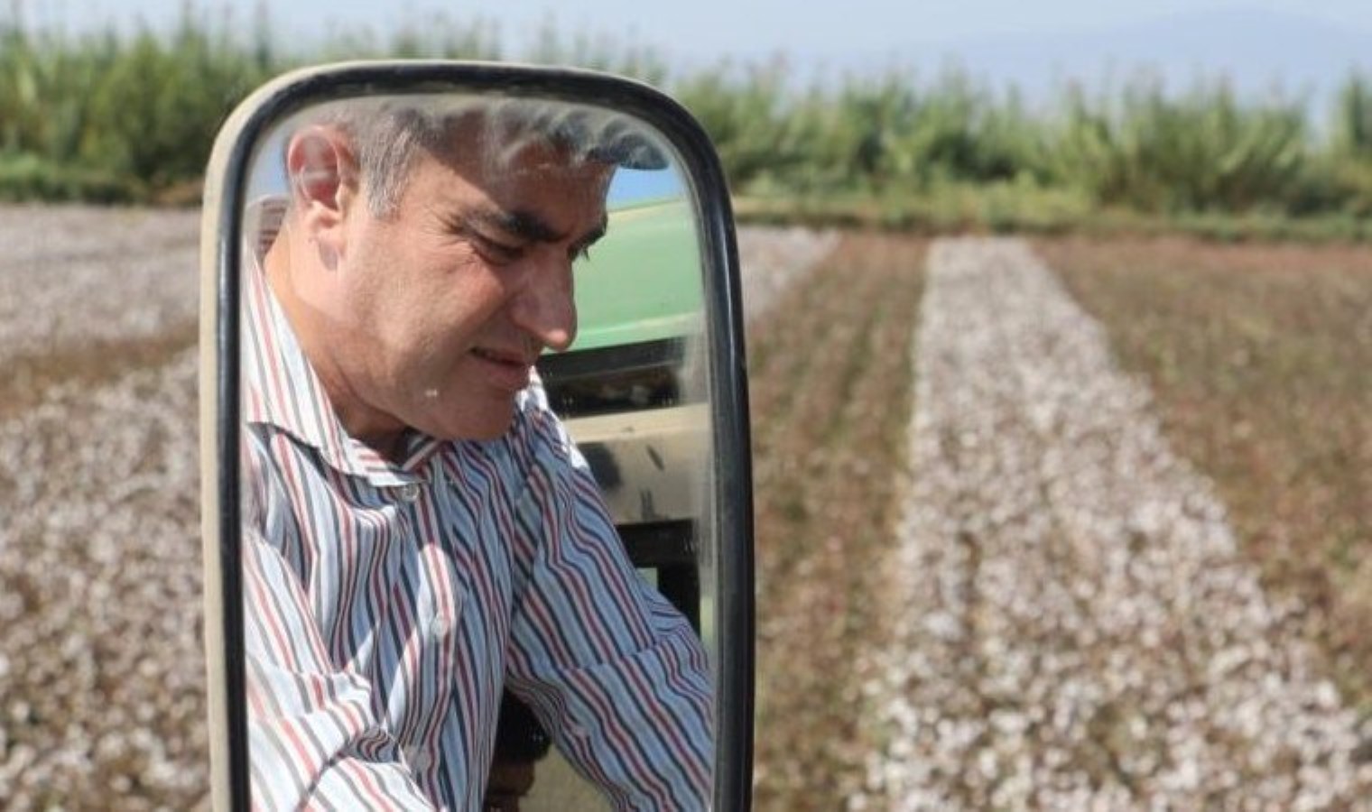 Koçarlı’da hasat başladı! 500 kilo rekolte bekleniyor…