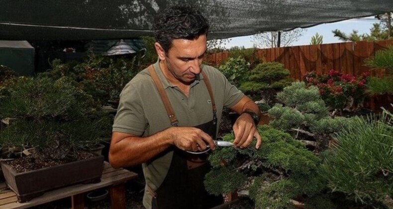 Kurumsal hayatı bırakıp bonsai yetiştirmeye başladı