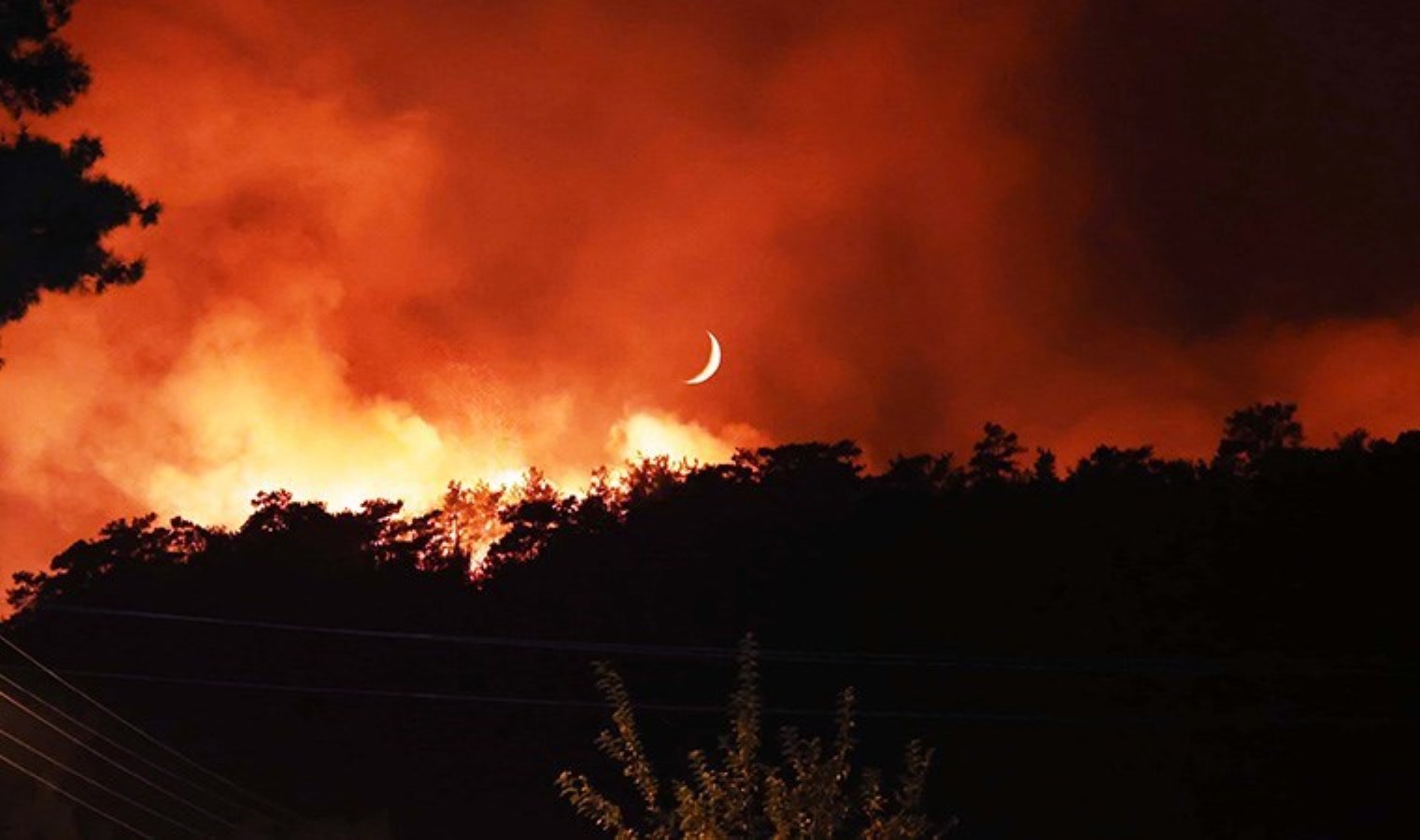 Muğla’da orman yangını: Yerleşim yerlerini tehdit ediyor!