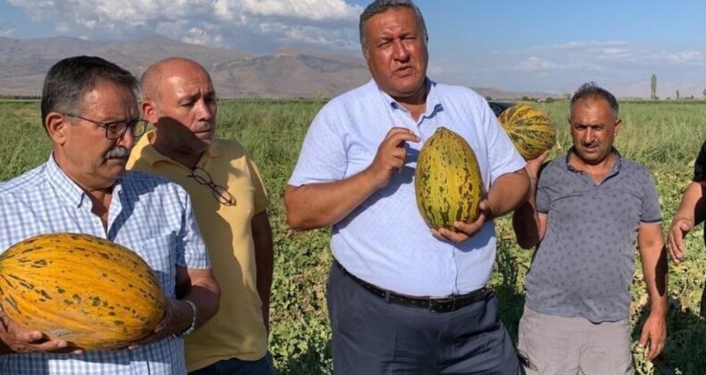 Ömer Fethi Gürer’in dinlediği Niğdeli kavun üreticisi: “Borcumuz var, traktör satılırsa traktörü, tarla satılırsa tarlayı satacağız”