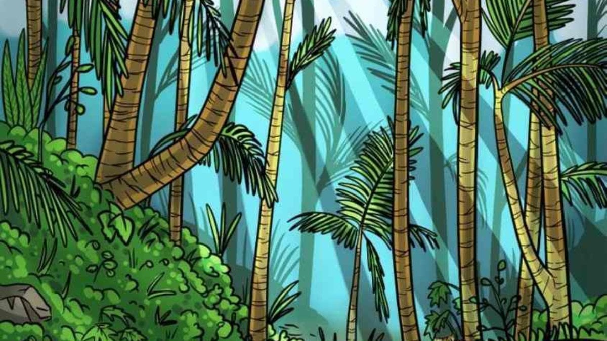 Optik İllüzyon: Ormanda bir kaplan yatıyor! Henüz görebilen çıkmadı…