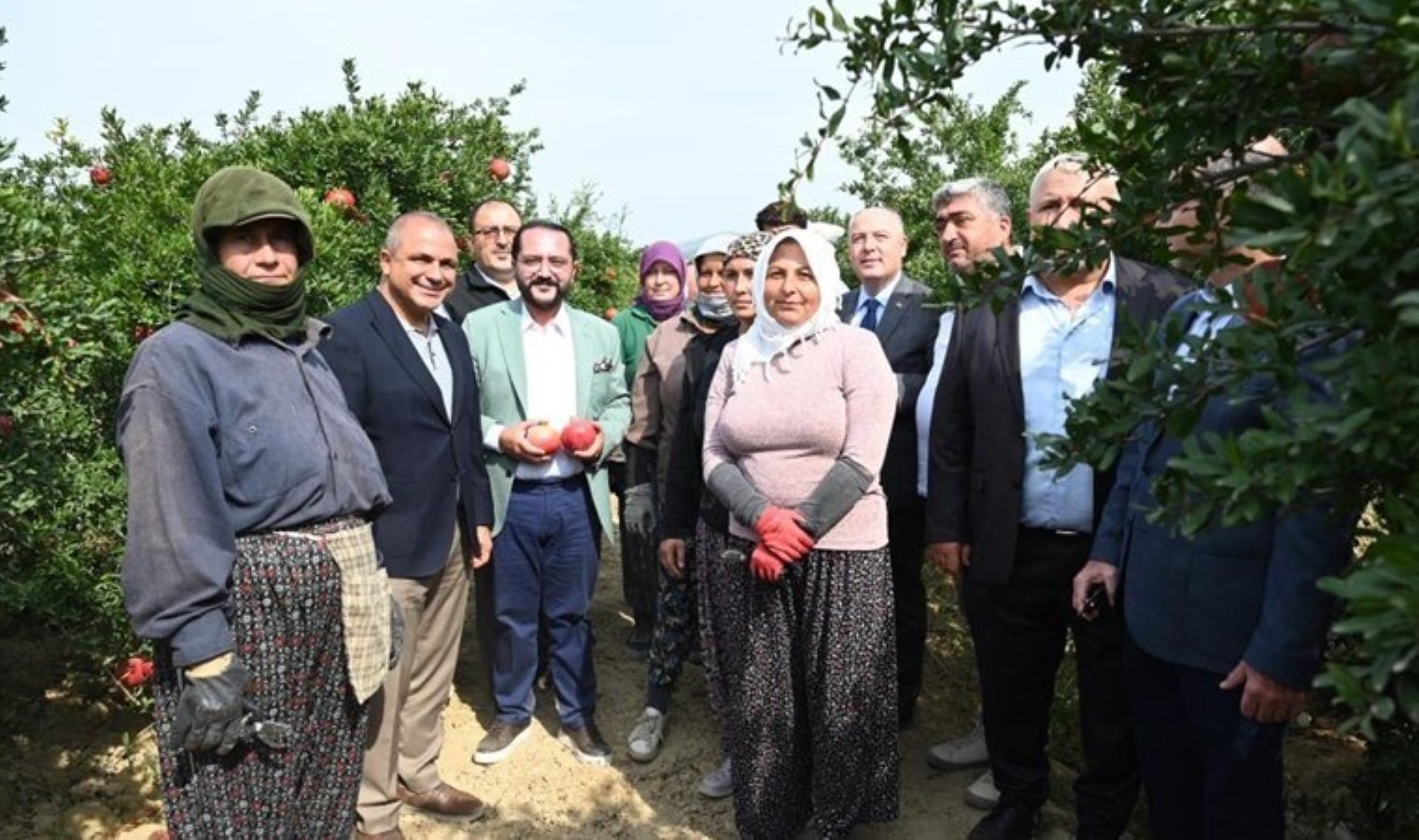 Pamukkale Ovası’nda hasat başladı: Rekolte her geçen yıl artıyor!