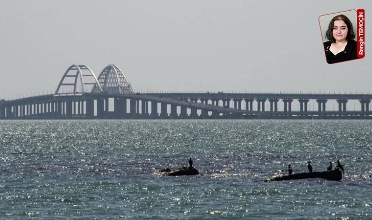 Türk iş insanından yardım çığlığı