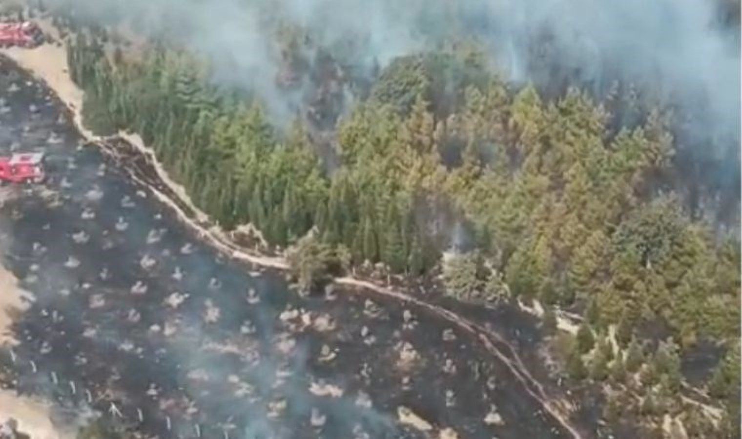 ‘Türkiye’de madenler nedeniyle kaybedilen ormanlık alan yangınlardan daha büyük’