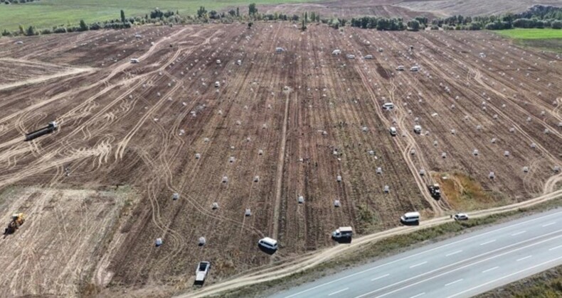 Uçsuz bucaksız arazide yüzlerce işçi ile hasat başladı