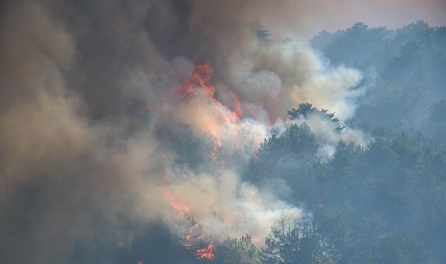 Uşak’ta dün başlayan orman yangını kontrol altına alındı