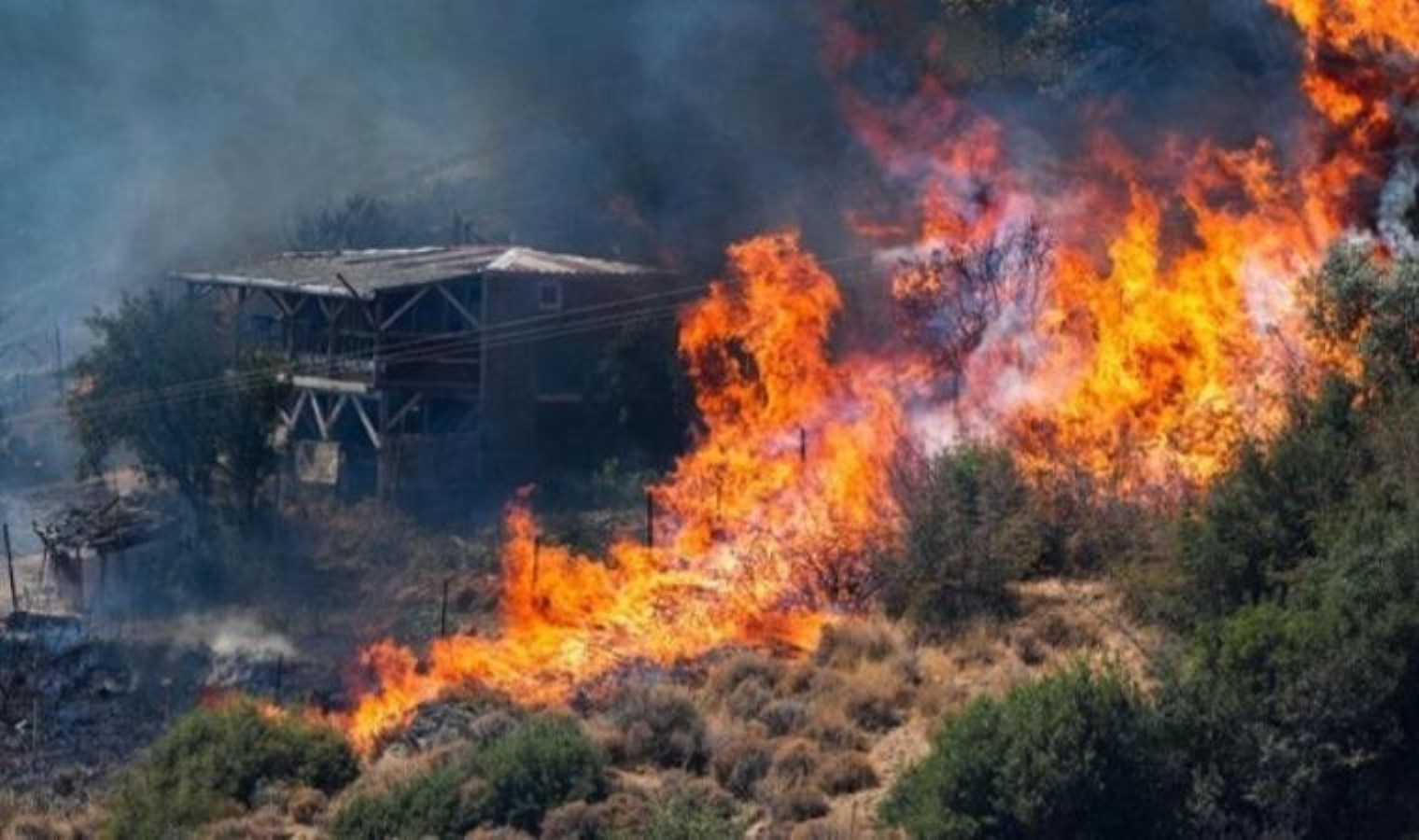 Yangınlar sonrası Resmî Gazete kararı: İzmir’de orman alanları yapılaşmaya açıldı