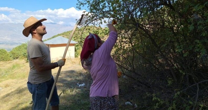 Zorlu arazide hasat başladı: 100 gramında bir kasa portakala eşdeğer C vitamini var