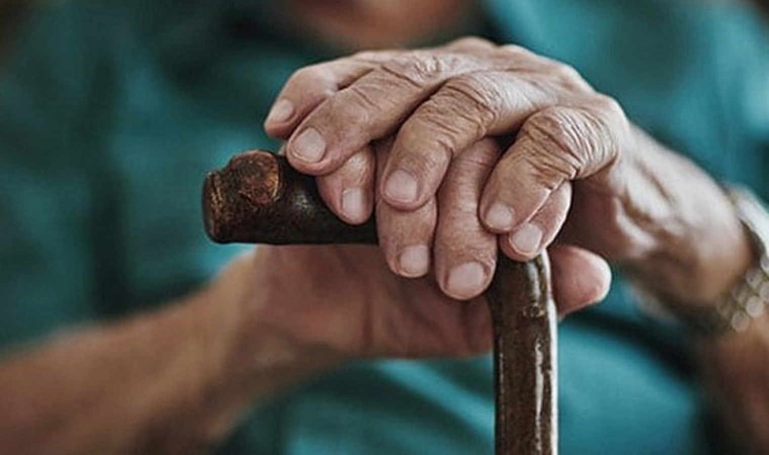 1 Ekim Dünya Yaşlılar Gününe özel İPA İstanbul ve Türkiye’de yaşlı istatistiklerini açıkladı