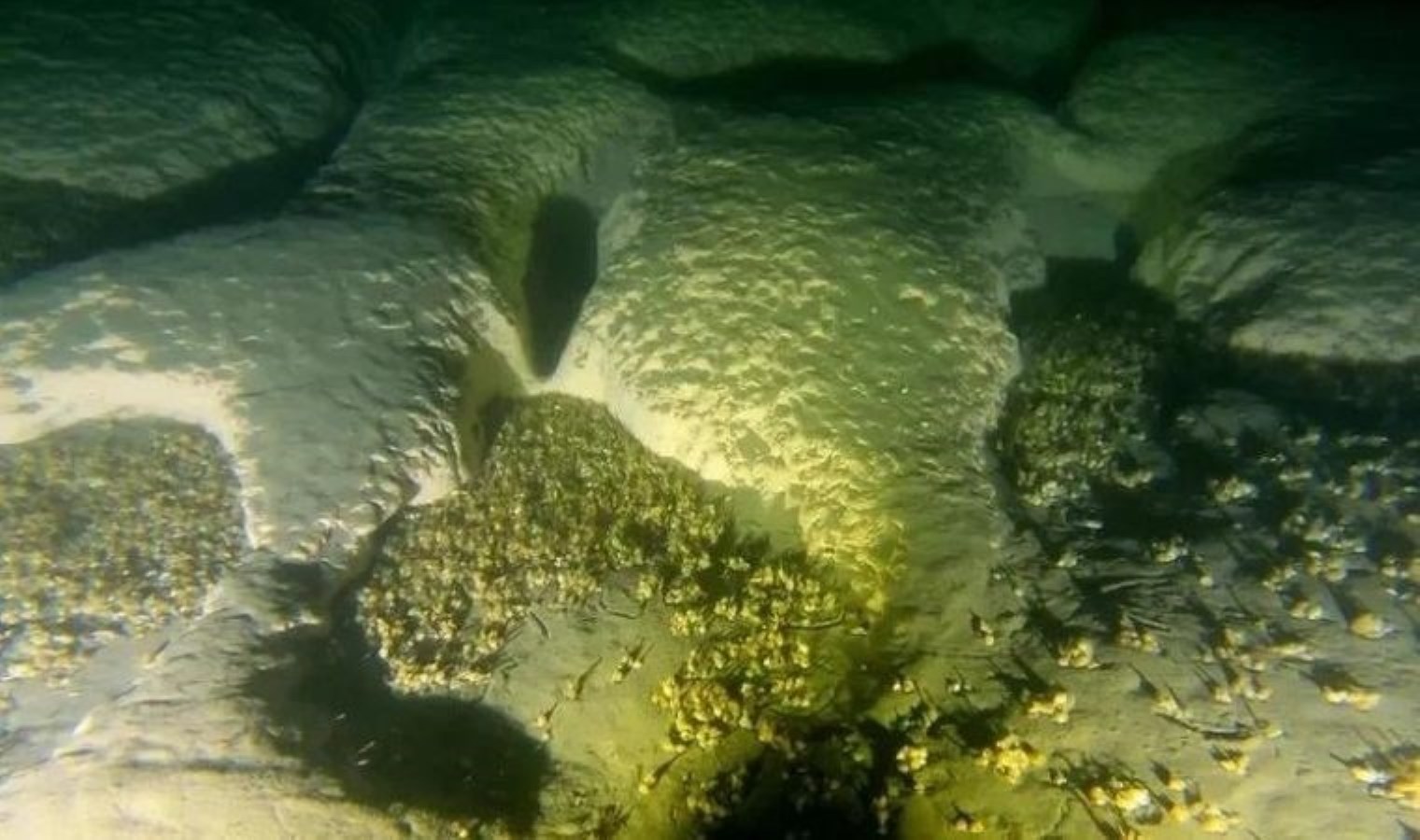 ABD’nin ikonik gölünde esrarengiz çukurlar bulundu: Gölün dibinde gizemli yapılar keşfedildi!