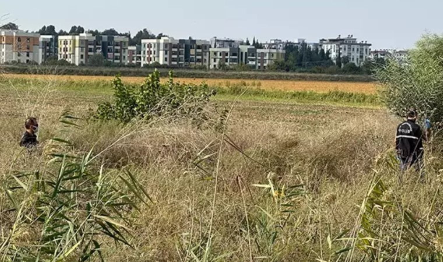 Adana’da korkunç olay… Sazlıkta parçalanmış ceset bulundu!