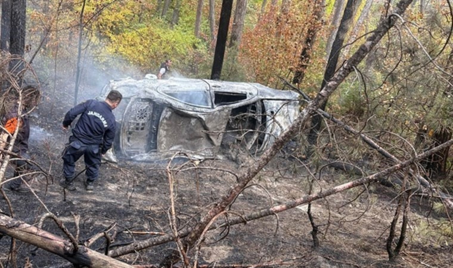 Ağaçlık alana devrilen otomobil alev aldı: 2 yaralı