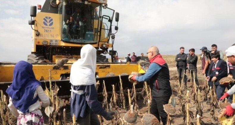 Ağrı’nın bereketleri topraklarında yetişti: 10 bin ton verim bekleniyor