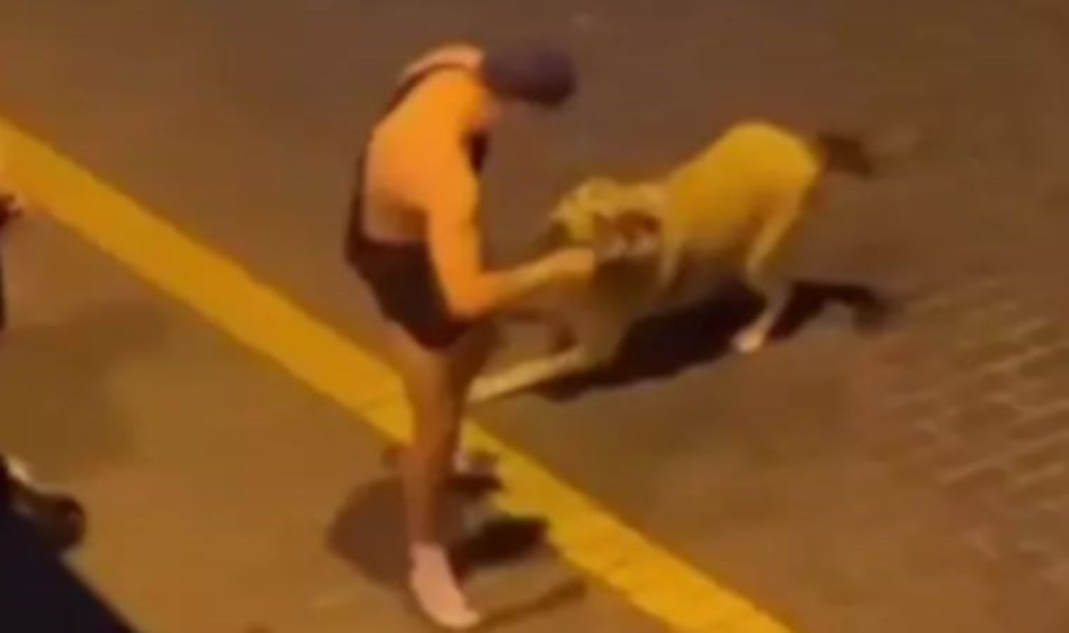 Antalya’da köpeğe istismar girişimi: Skandal görüntülerin ardından tutuklandı