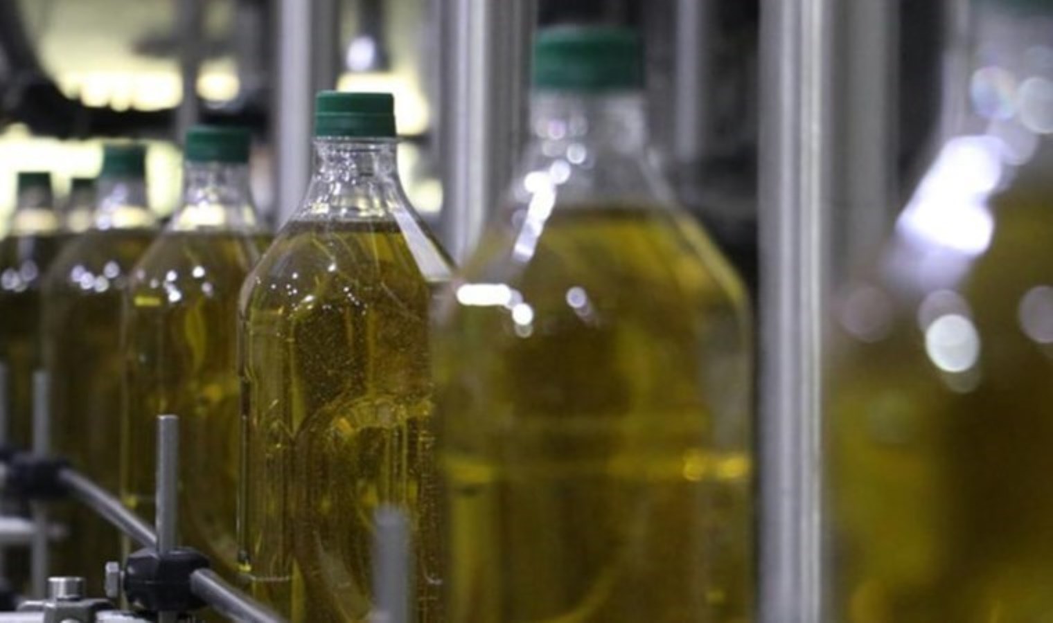 Aydın’da 14 bin litre ‘sahte zeytinyağı’ ele geçirildi