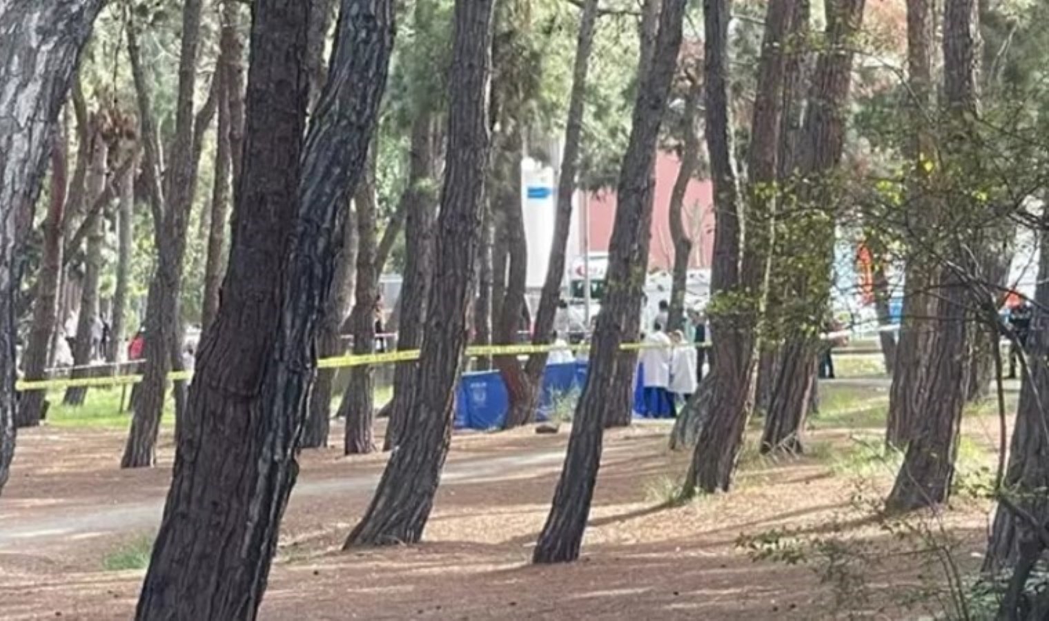 Bakırköy Ruh ve Sinir Hastalıkları Hastanesi bahçesinde dehşet: Eşini silahla öldürüp intihar etti