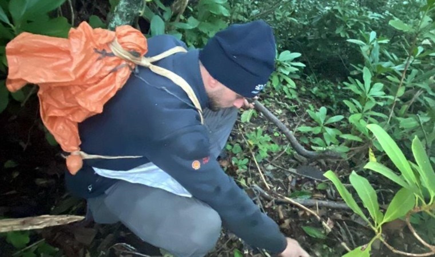 Bartın’ın önemli geçim kaynağı! Hasat sabahın erken saatlerinde başlıyor