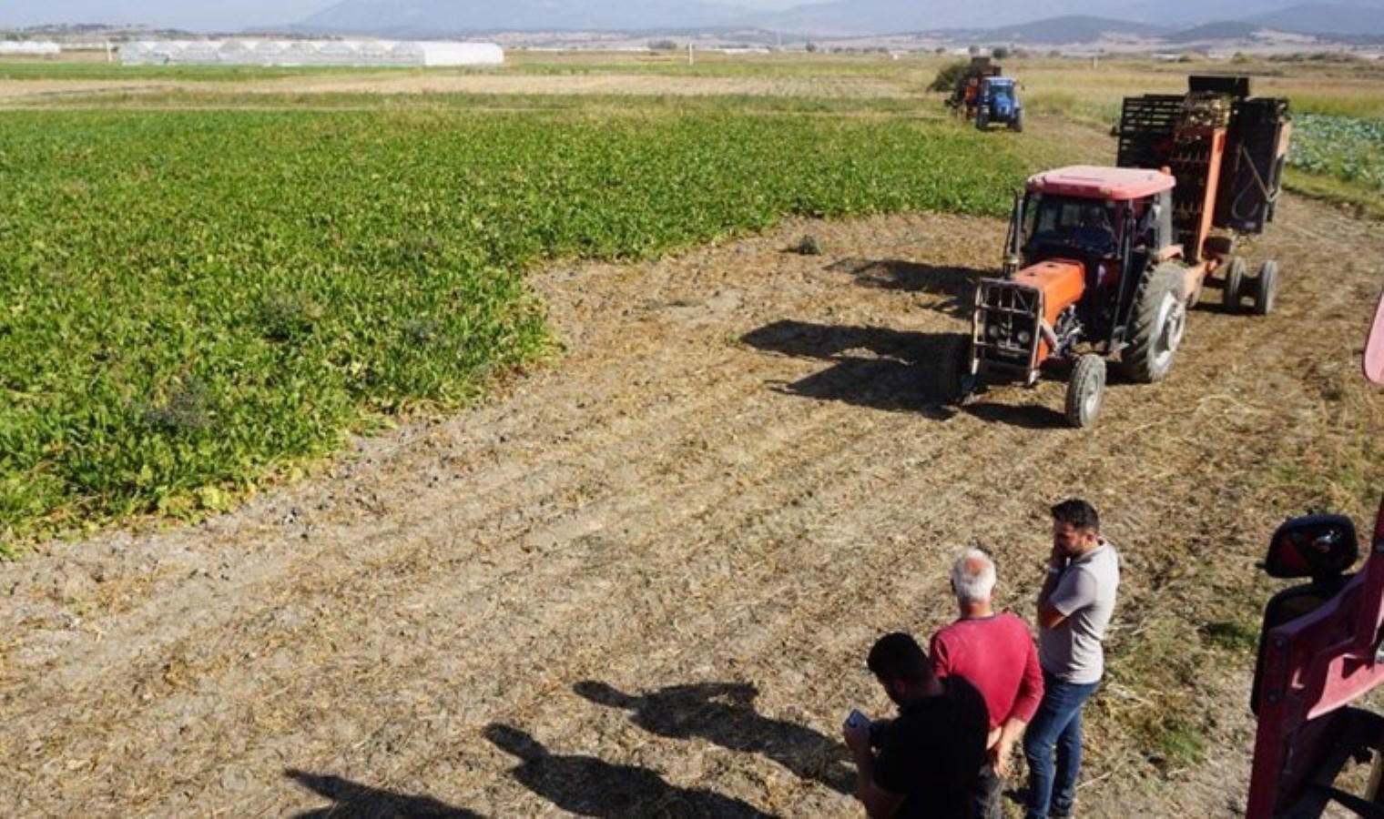 Burdur’da hasat sürüyor: Dönümünden 11 ton elde ediliyor…