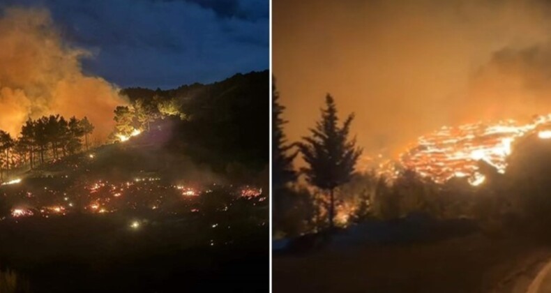 Dalaman’da orman yangını… Belediye başkanından ‘hava desteği’ çağrısı!