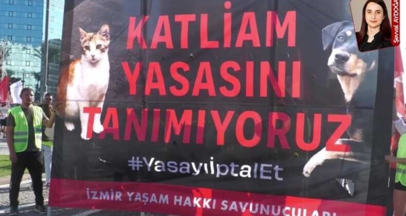 Dört Ayaklı Şehir Çalışmaları Derneği Genel Koordinatörü Yıldırım: Farkındalık kazandırılmalı