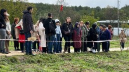 Dünyanın en pahalı baharatını görmek için tarlalara akın ediyorlar