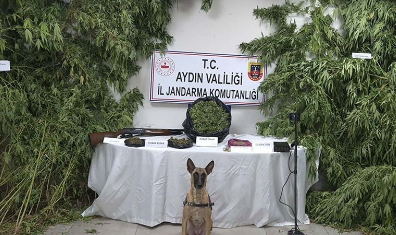 Evinden 5 kilo uyuşturucu çıkan şüpheliye gözaltı