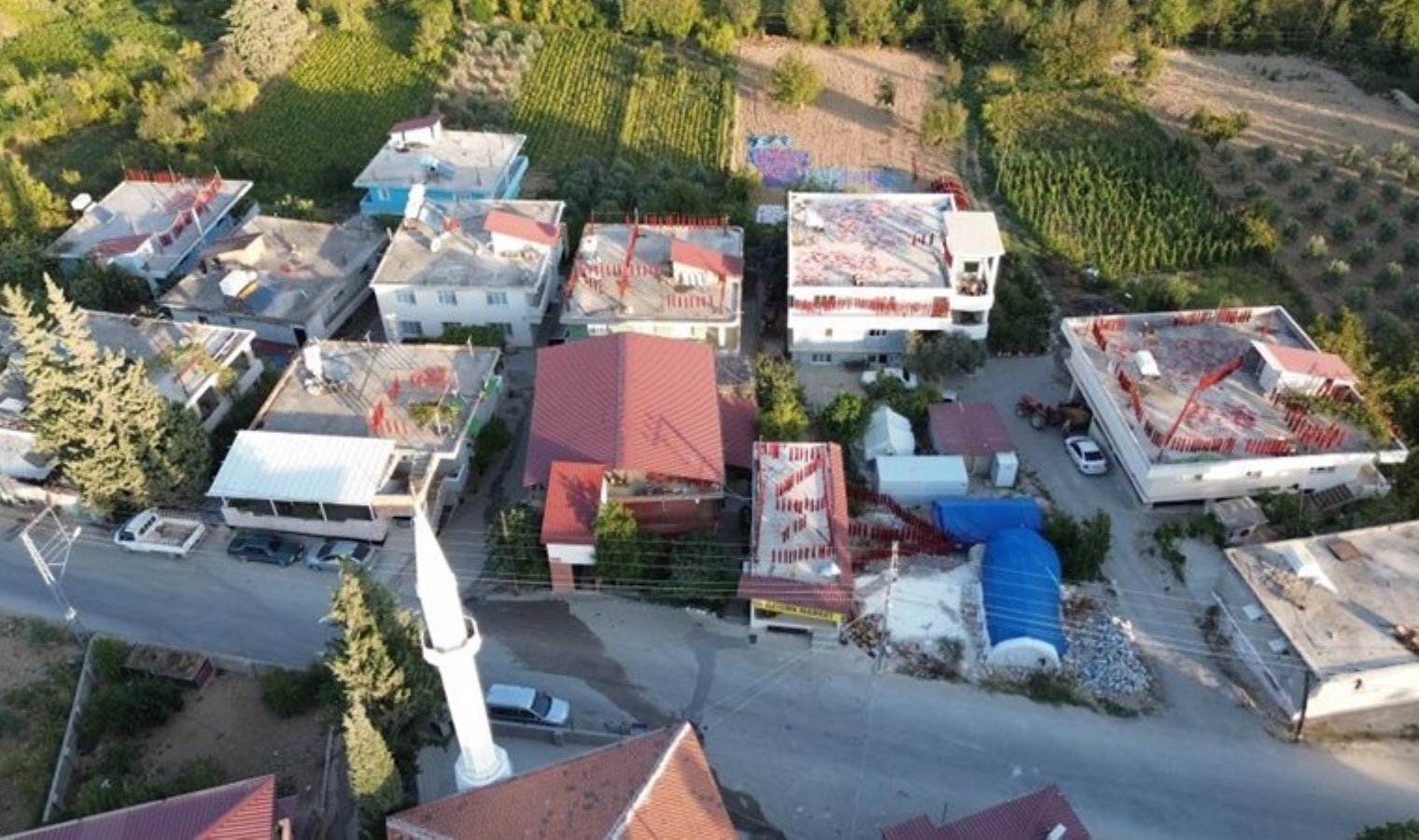 Hatay’da üretim 2 katına çıktı: Mahallenin geçim kaynağı! Bir demeti 500 TL…