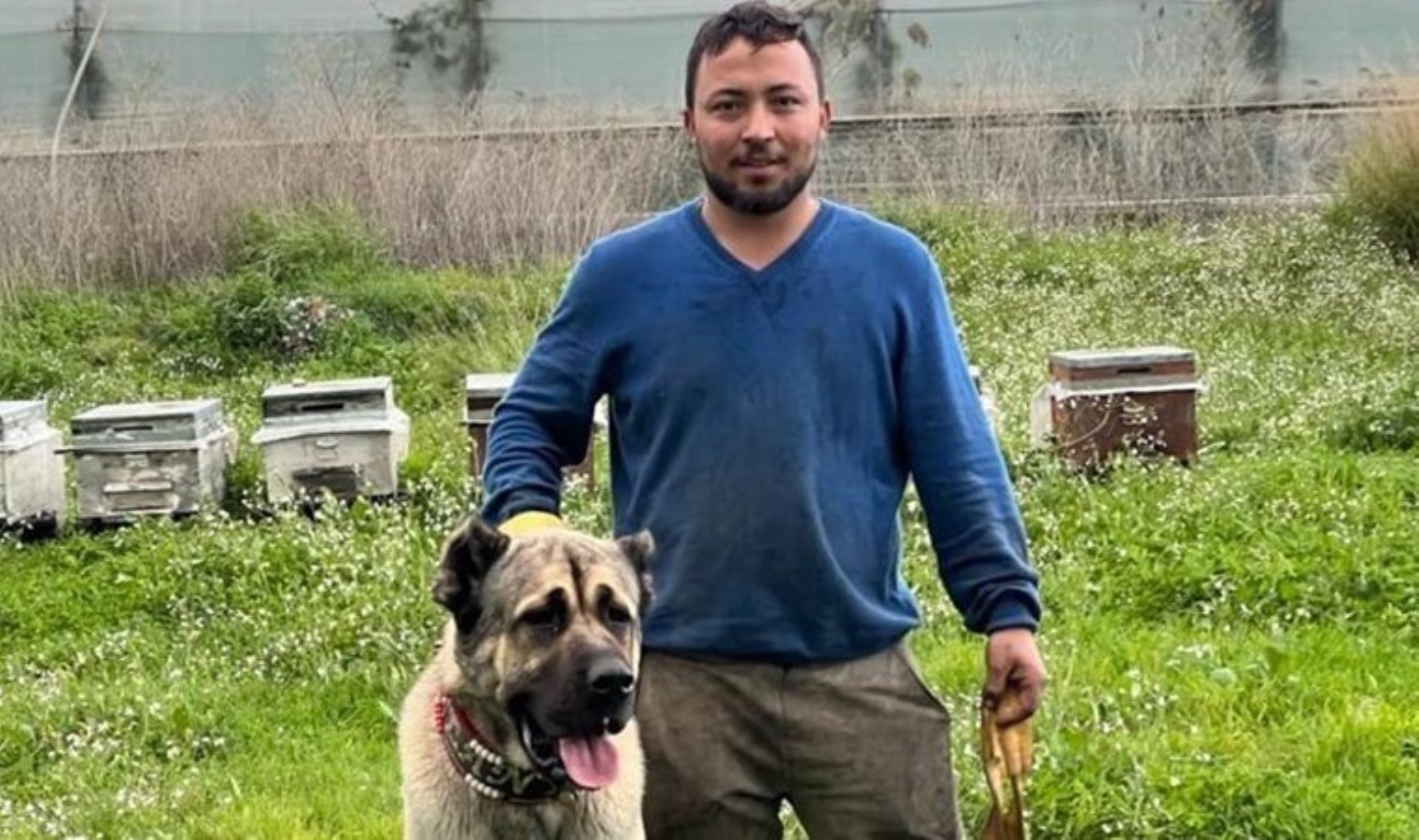 İskeleden denize atlayıp kuma çakılmıştı: 1 aylık yaşam savaşını kaybetti