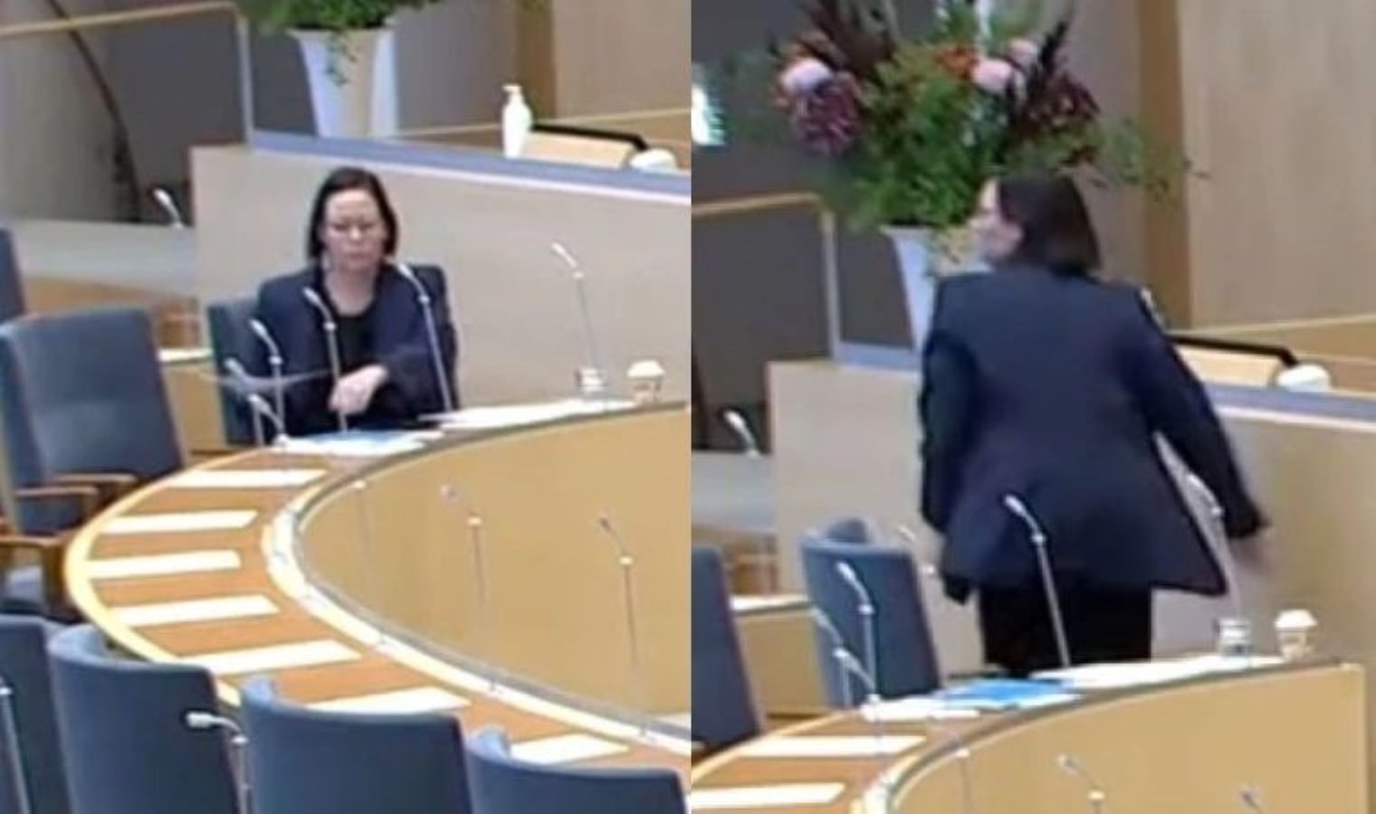 İsveç Dışişleri Bakanı Stenergard’a parlamentoda domatesli saldırı