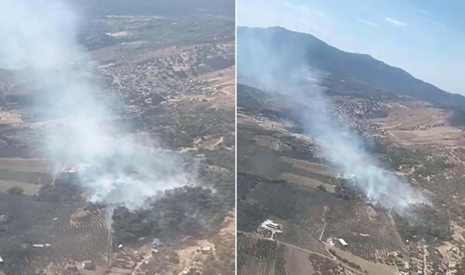 İzmir’de orman yangını