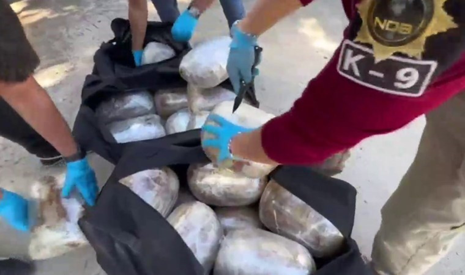 Kahramanmaraş’ta 30 kilo 350 gram uyuşturucuyla yakalanan TIR’ın sürücüsü tutuklandı