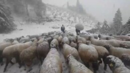 Kar bastırınca yayladan mezraya 3 günde ulaştılar