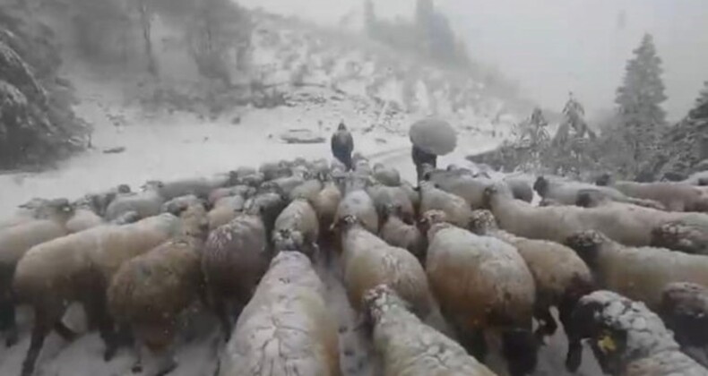 Kar bastırınca yayladan mezraya 3 günde ulaştılar