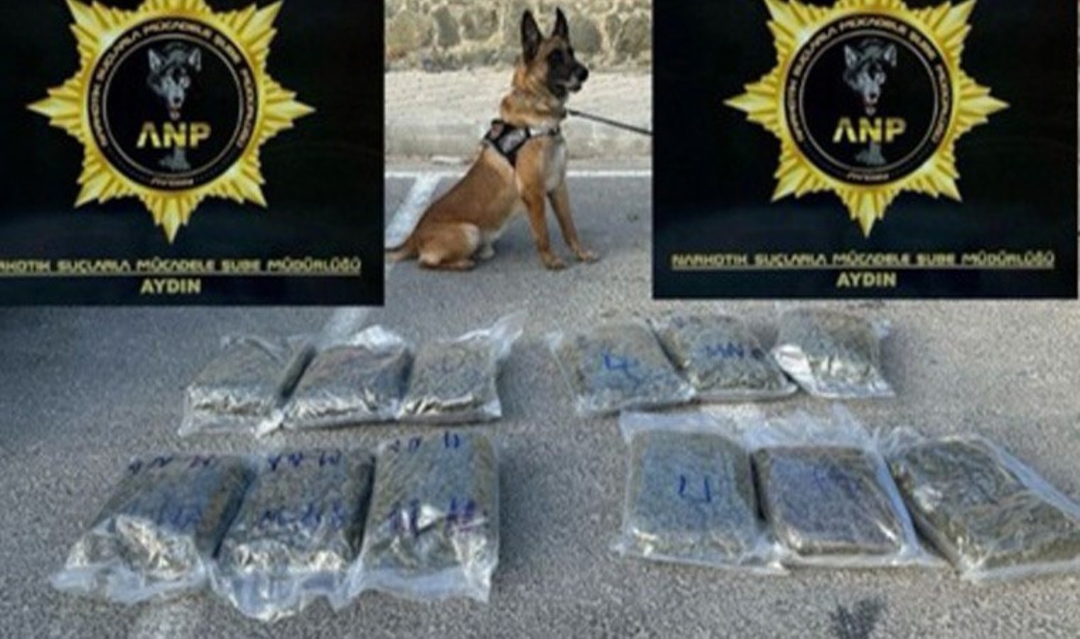 Kuşadası’nda, otomobilde 13 kilogram skunk ele geçirildi