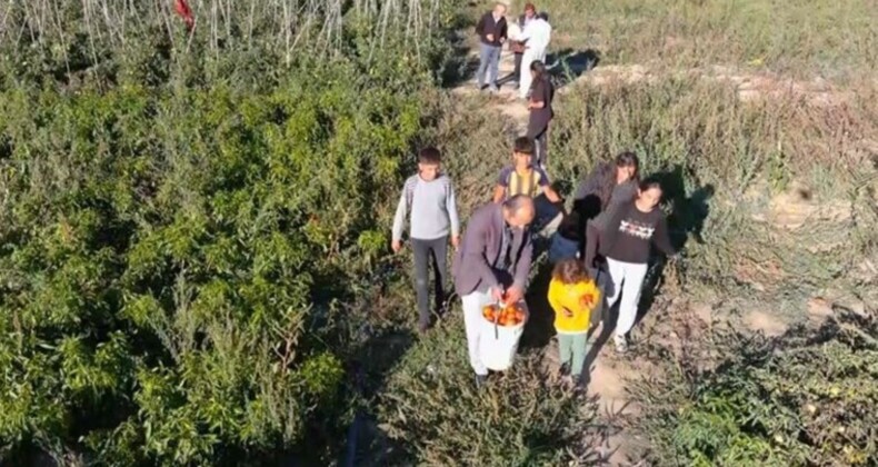 Markette sebzeleri pahalı bulan yurttaş soluğu tarlalarda aldı: ‘Çarşıyla arasında aşırı derecede fiyat farkı var’