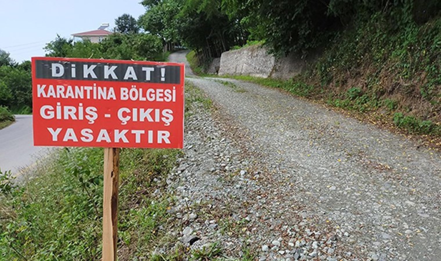 ‘Mavi dil’ hastalığı Türkiye’de 20 yıl sonra ilk kez görüldü