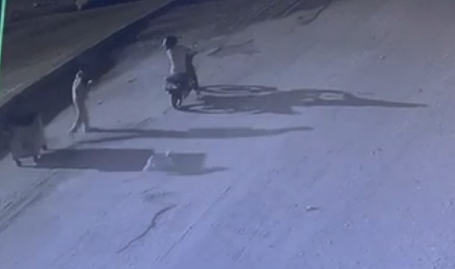 Motosikletle gelip, ‘Prenses’i çaldılar!