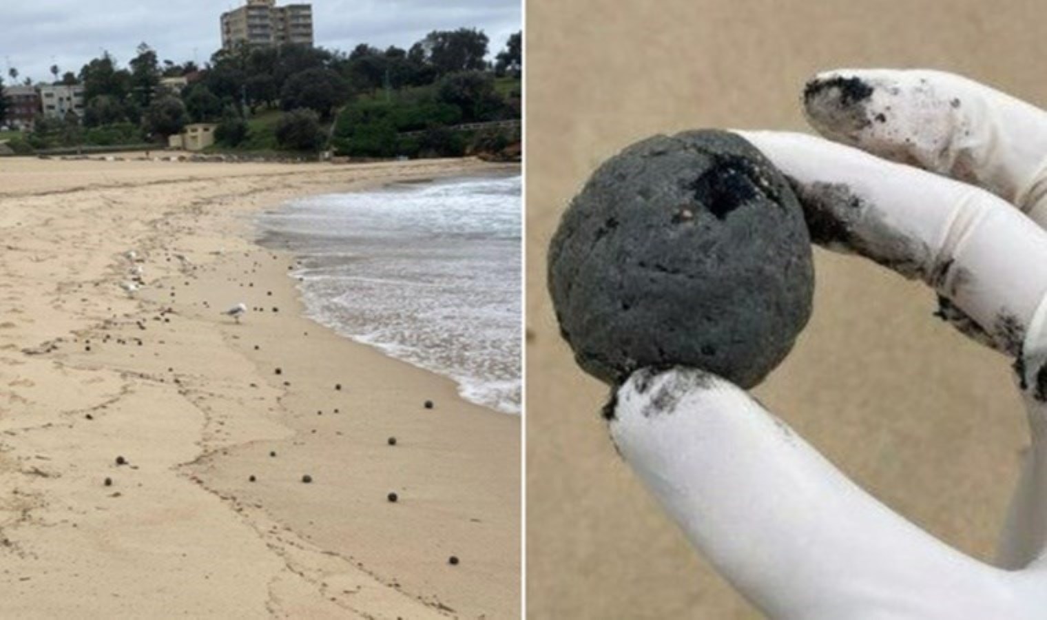 Plaj, ‘gizemli’ siyah toplar nedeniyle kapatıldı