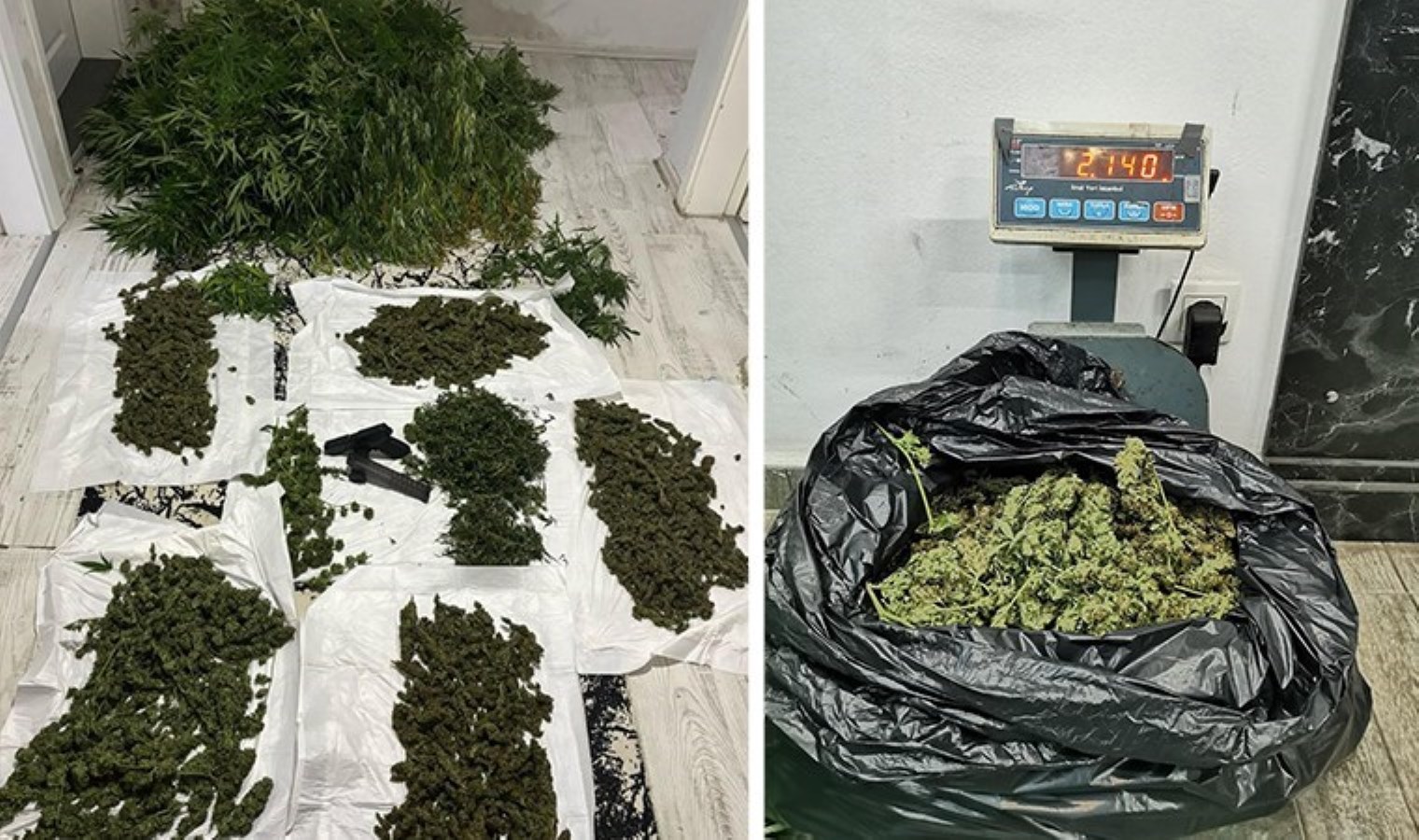 Sarıyer’de organik bostan ‘uyuşturucu tarlası’ çıktı: Gözaltılar var…