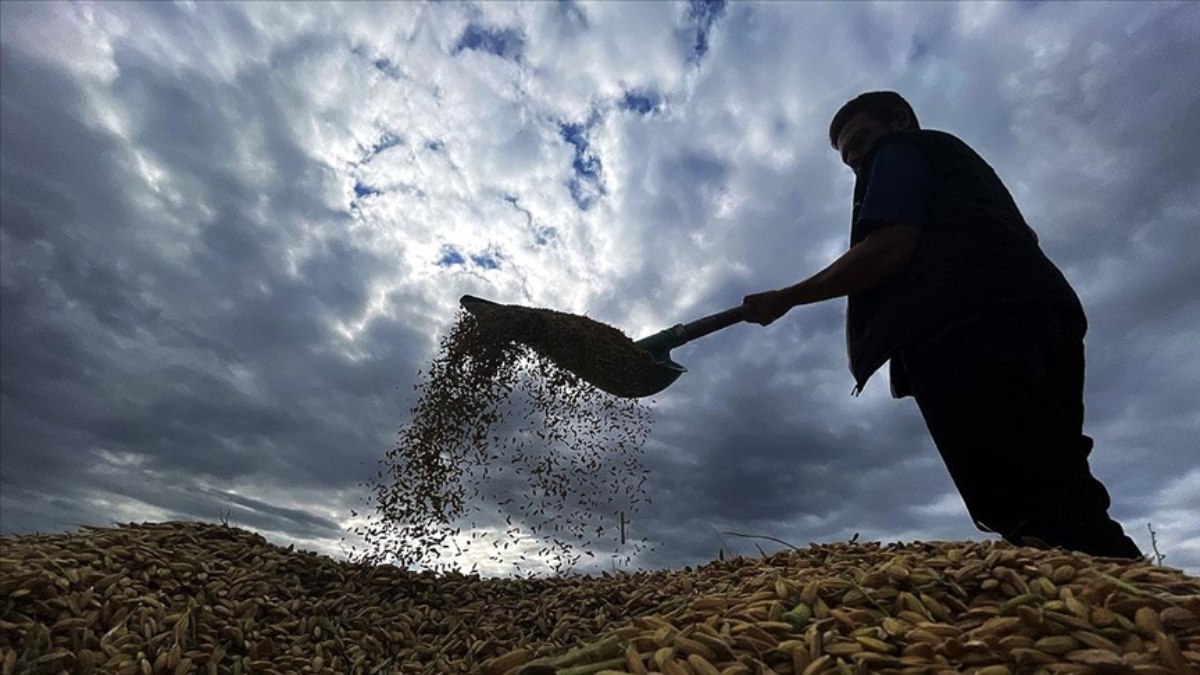 Tarımsal girdi fiyatları ağustosta yıllık yüzde 33,25 arttı