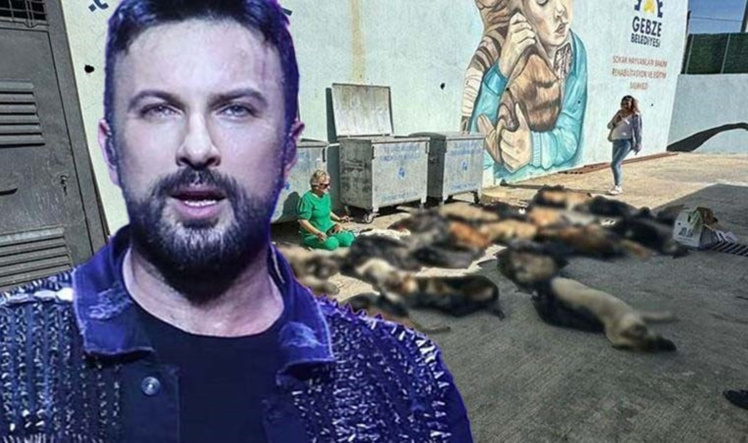 Tarkan’dan Gebze’de yaşanan hayvan katliamına tepki