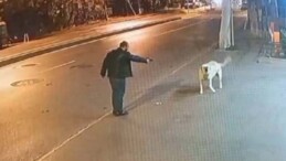 Üzerinde ruhsatsız tabanca da bulundu: Köpeğe silah doğrultan şahıs serbest bırakıldı