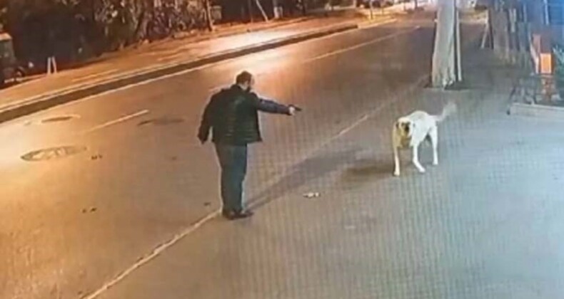 Üzerinde ruhsatsız tabanca da bulundu: Köpeğe silah doğrultan şahıs serbest bırakıldı