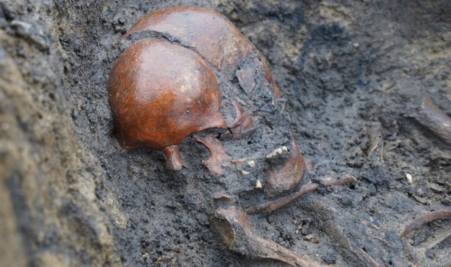 Vikingler dönemine ait 50 iskelet bulundu