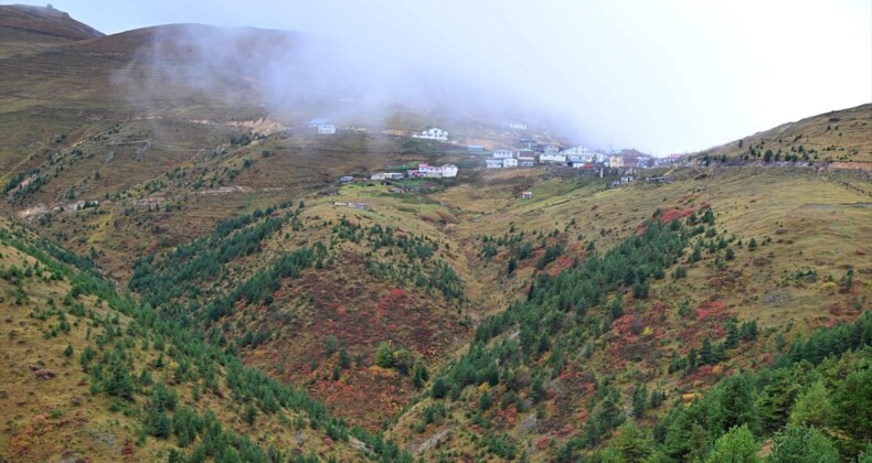 Zigana Dağı’nda sonbahar renkleri