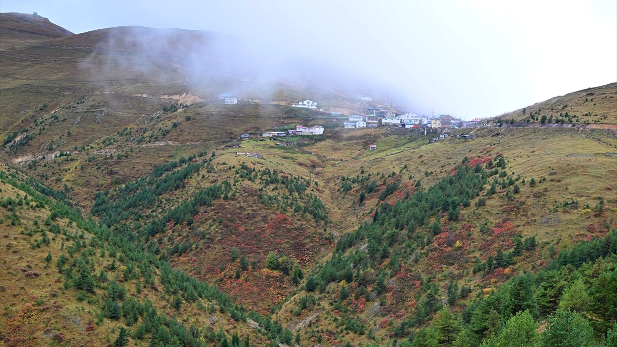 Zigana Dağı’nda sonbahar renkleri